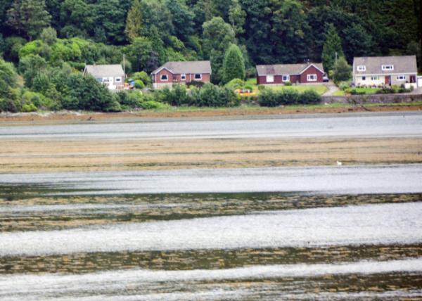 2016-07-12_River Eachaig Ÿ-10001.JPG