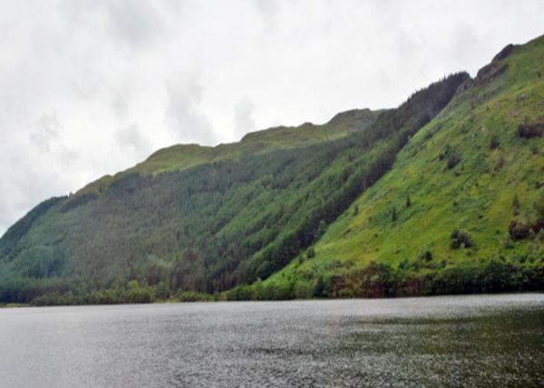 2016-07-12_Loch Eck_Steep Wooded Slopes into Loch Eck ֱ밣˺-30001.JPG
