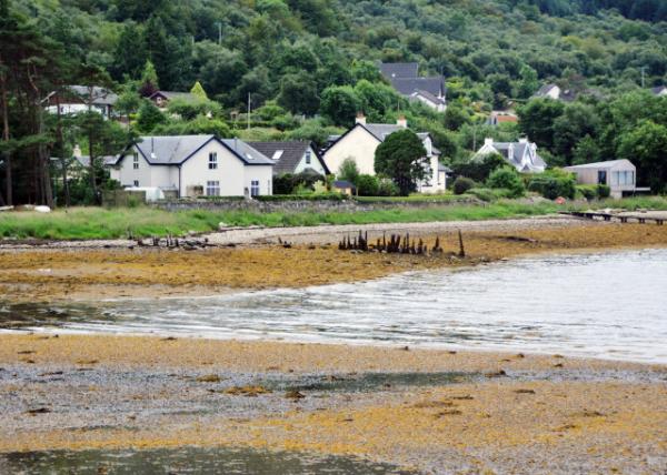 2016-07-12_Loch Eck_Whistlefield ˺ׯ-30001.JPG