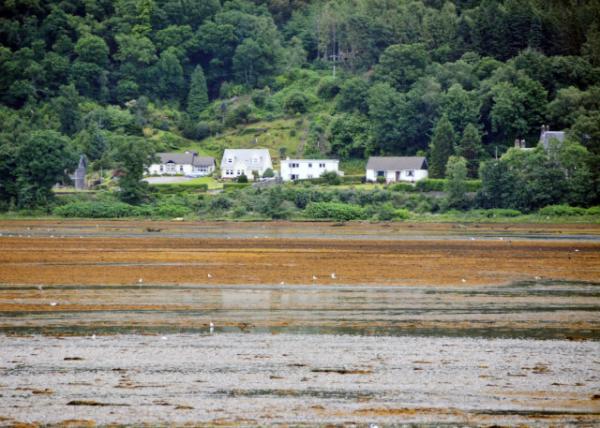 2016-07-12_Loch Eck_Coylet խĵط-20001.JPG