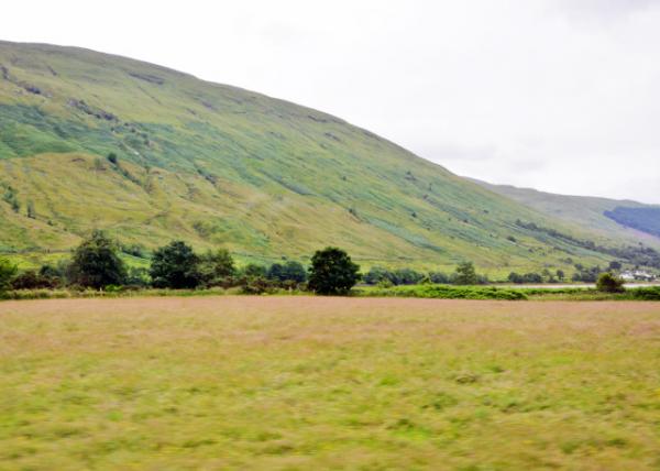 2016-07-12_Scottish Highlands_Meadow ݵ-30001.JPG