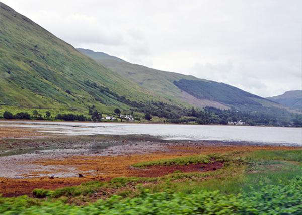 2016-07-12_Scottish Highlands-40001.jpg