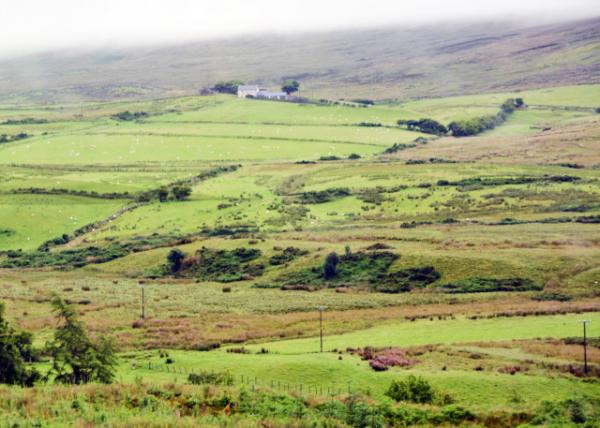 2016-07-11_Glenariff_Lavish Meadow ˹ȡݵء-20001.JPG