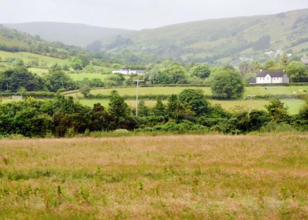 2016-07-11_Glendun_Peat Bogs غӹȡ̶-10001.JPG