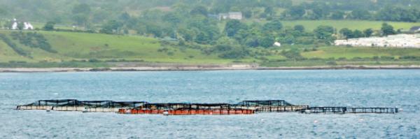 2016-07-11_Glenariff_Fishery Farm ˮֳ-30001.JPG