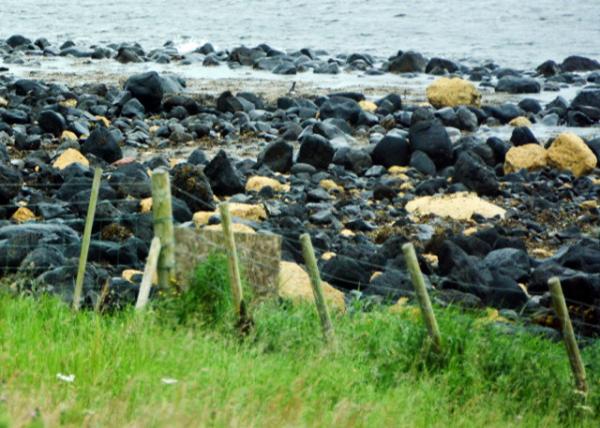 2016-07-11_Black Sand Beach near Belfast ˹ظں̲-10001.JPG