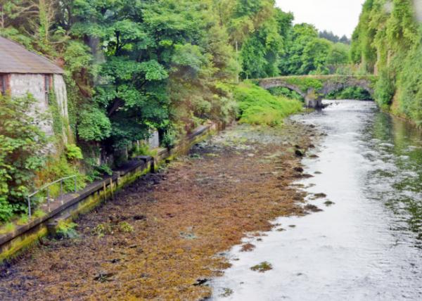 2016-07-11_Glenarm River ˹Ⱥ-10001.JPG