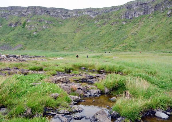 2016-07-11_Giant's Causeway_Weathered Rock Formations w Sea Spleenwort, Hare's-foot Trefoil, Vernal Squill, Sea Fescue and Frog Orchid 绯Ҳ㳤˺Ҷޱé-150001.JPG