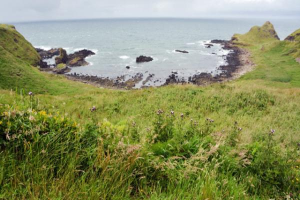 2016-07-11_Giant's Causeway_Portnaboe Bay ţ-50001.JPG