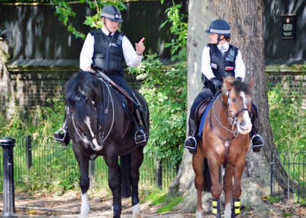 2016-06-24_Police Patrol Ѳ-10001.JPG