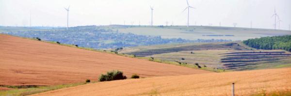 2015-06-24_Farm_Field ũ-20001.JPG