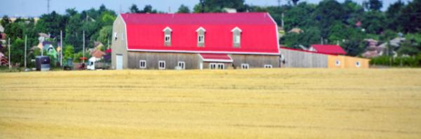 2015-06-24_Farm_Barn House on the Prairie ԭ԰-10001.JPG