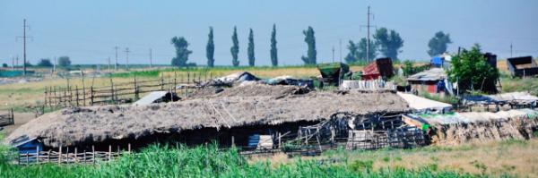 2015-06-24_Farm_Bullpen ţȦ-20001.JPG