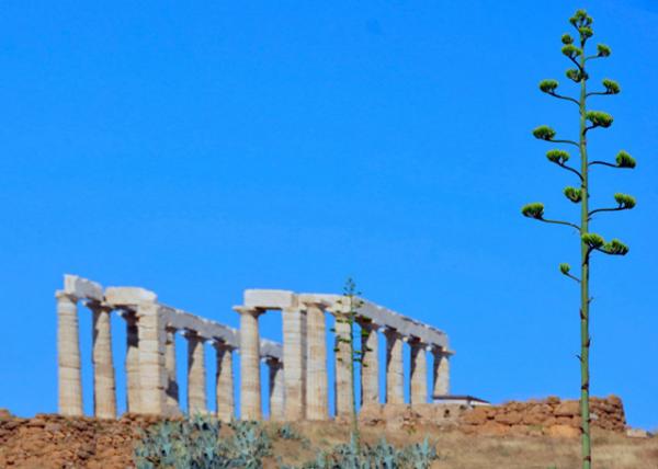2015-06-20_Temple of Poseidon w Agave 0001.JPG