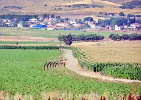 2015-06-21_Larissa -20001.JPG