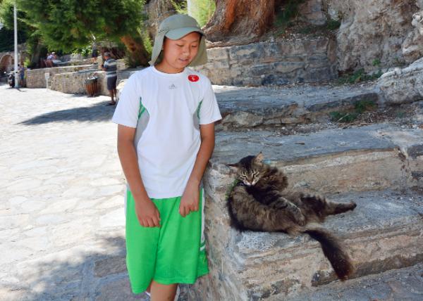 2015-06-16_Come across a Cat.jpg