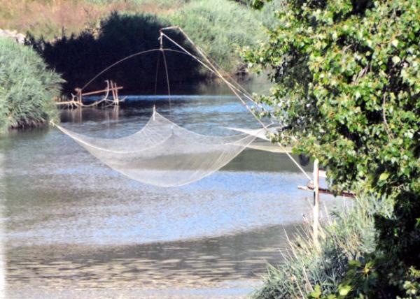 2018-07-19_Arno Floodway_Fishing Nets ŵй0001.JPG
