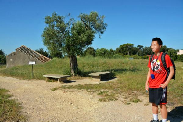 2018-07-18_Tarquinia_Necropolis of Monterozzi-10001.JPG