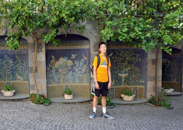 2018-07-17_Sorrento_Lemon Trees -10001.JPG