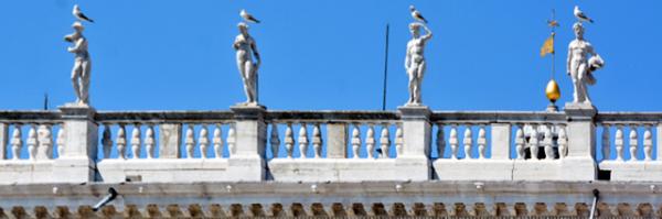 2018-07-09_Animal_Seagulls over Biblioteca Nazionale Marciana ͼ-10001.JPG