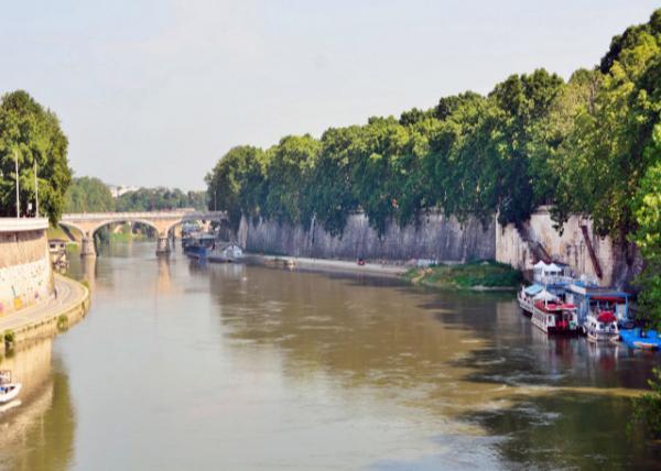 2015-07-05_Ponte Umberto I Seen from Ponte Cavour-10001.JPG