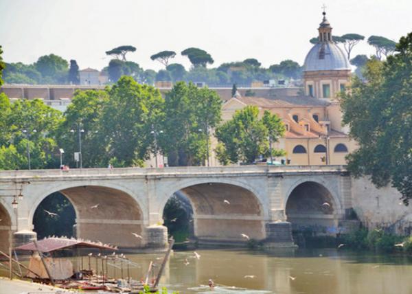 2015-07-05_Ponte Principe Amedeo Savoia Aosta-10001.JPG