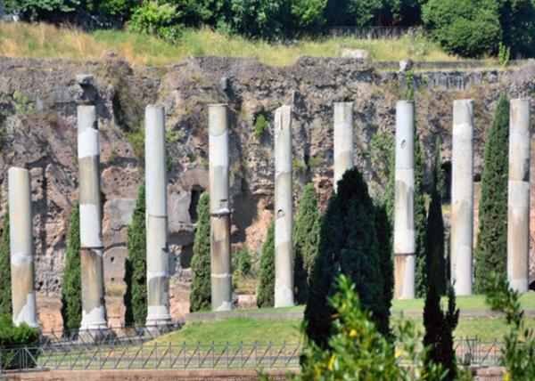 2015-07-04_Roman Forum0001.JPG
