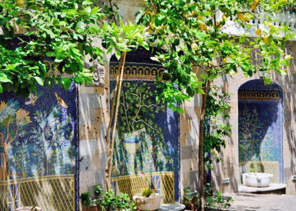 2015-06-14_Lemon Trees 0001.JPG