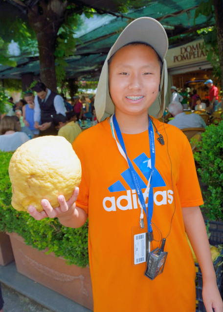 2015-06-14_Head-Sized Lemon ԹϴС-10001.JPG