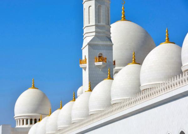 2013-12-07_Sheikh Zayed Grand Mosque_82 Domes of Seven Different Sizes 82ֲͬСԲ-80001.JPG