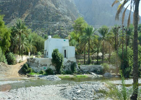 2013-12-11_Nakhl Fort_Nakhal Palm Tree Village.jpg