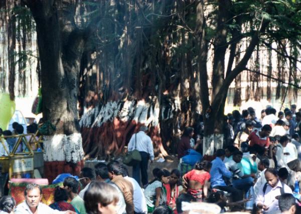 2013-12-14_Apollo Bander0001.JPG