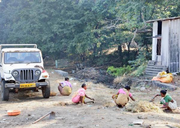 2013-12-15_Elephanta Is_Women @  Field Ů-40001.JPG
