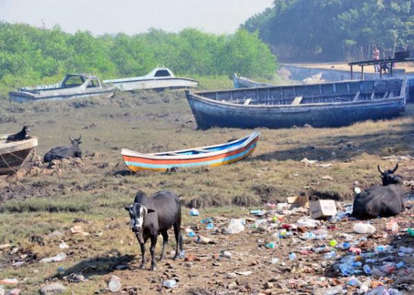2013-12-15_Elephanta_Dumpster 320001.JPG
