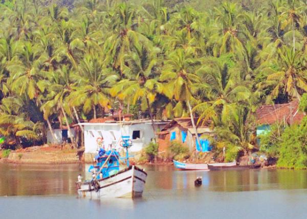 2013-12-16_Colorful Fishing Boats -30001.JPG