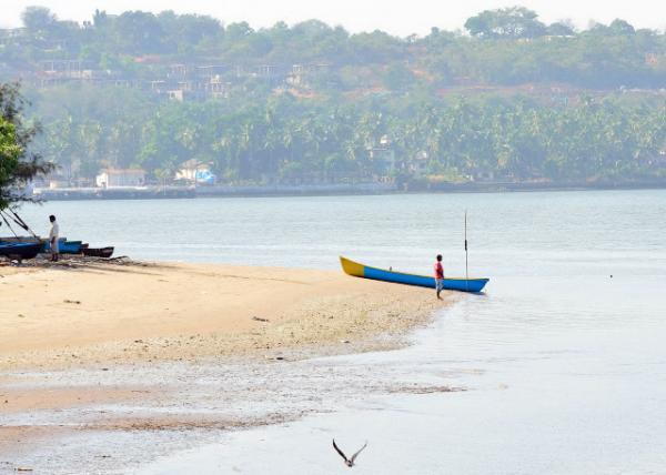2013-12-16_Mandovi Estuary ΢Цӿ-90001.JPG