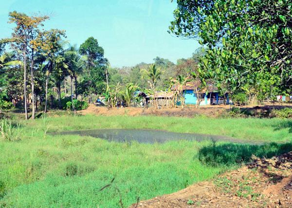 2013-12-16_Old Goa_Cashew Plantation ֲ԰-20001.JPG