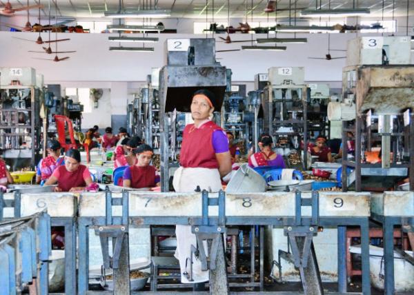 2013-12-17_Achal Industries Cashew Factory-20001.JPG