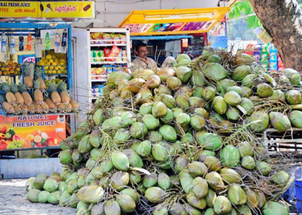 2013-12-18_Coconuts on Sale Ҭ0001.JPG