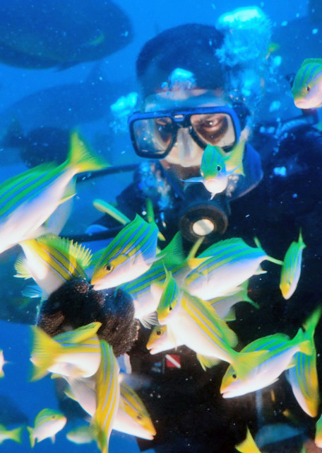 1751765581897227.jpg 2013-12-19_Fish_Orange-lined Cardinalfish 黄带天竺鲷0001.JPG