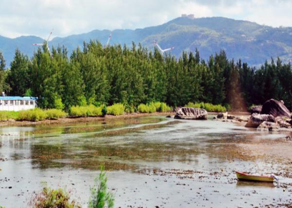 2013-12-23_Lagoon of Government Complex ¥к-30001.JPG