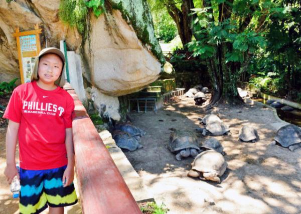 2013-12-23_Aldabra Tortoise-30001.JPG