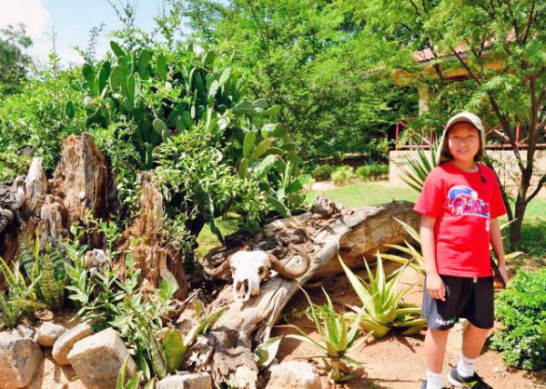 2013-12-26_Ashnil Aruba Lodge-40001.JPG