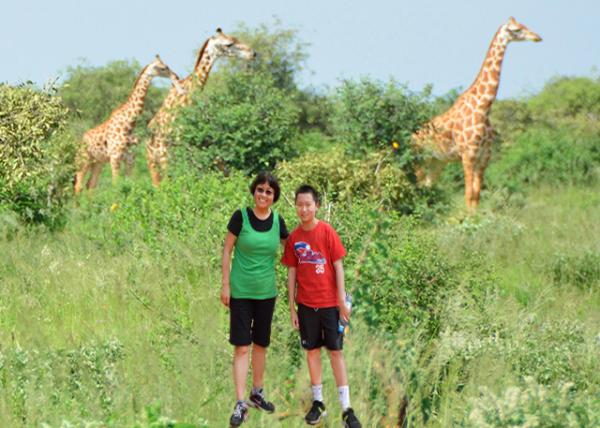 2013-12-26_A Tower of Giraffs һȺ¹-10001.jpg