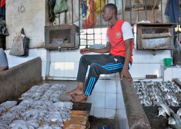2013-12-27_Central Market Darajani_Fish Stall ̯-80001.JPG