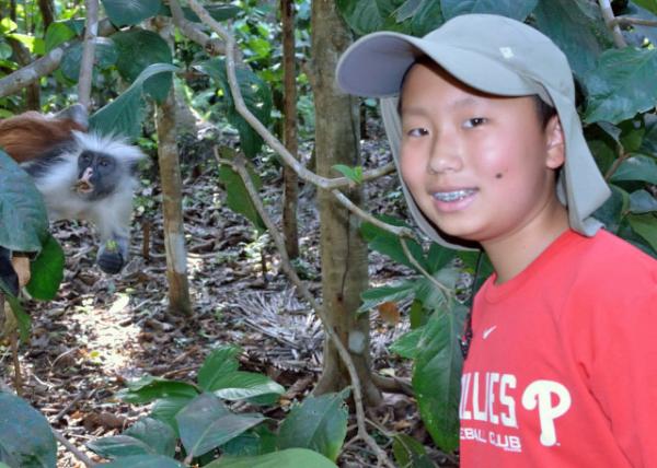 2013-12-27_Jozani Chwaka Bay NP_Kirk's Red Colobus of Zanzibar ɣͶĿ¿˺-60001.JPG