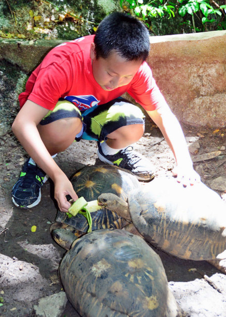 2013-12-30_Feed Turtles ιڹ0001.JPG