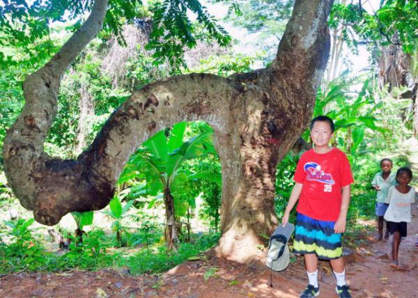 2013-12-30_Ampangorina Closed in by Trees & Hidden from the Eyes of Men ɴ塤Դ-60001.JPG