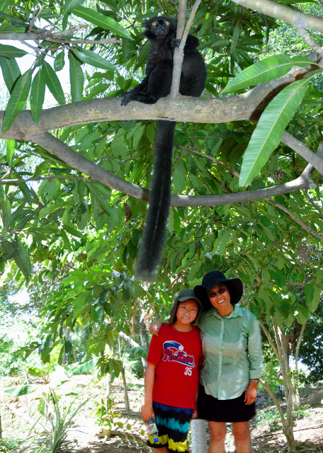 2013-12-30_Lemur Male_King Julien in Movie Madagascar ˹ -30001.jpg