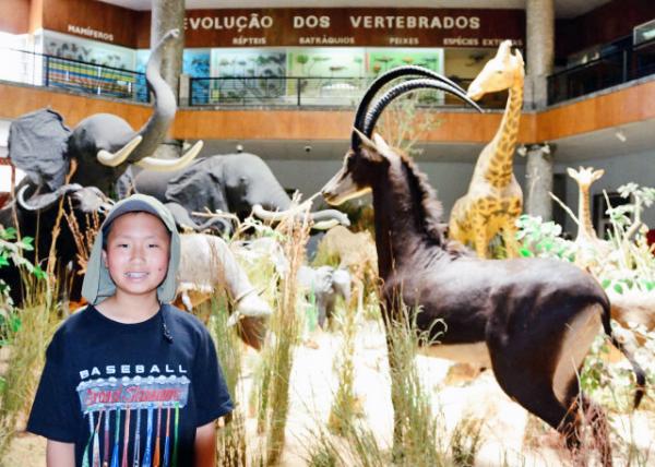 2014-01-02_Natural History Museum_4-D African Ecosystem ά̬ϵͳ-50001.JPG